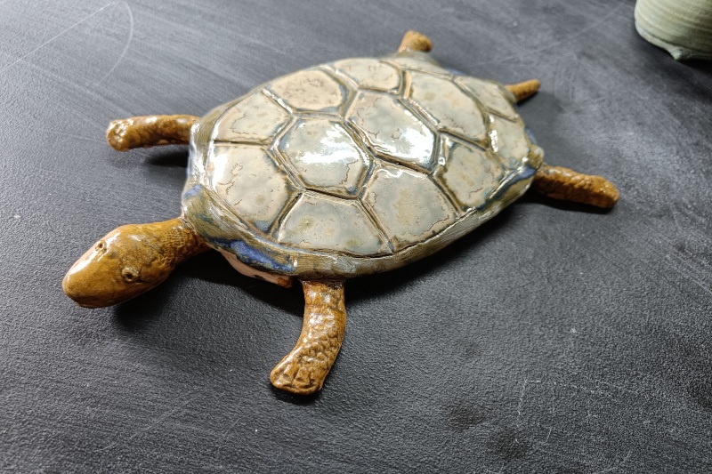 Turtle M